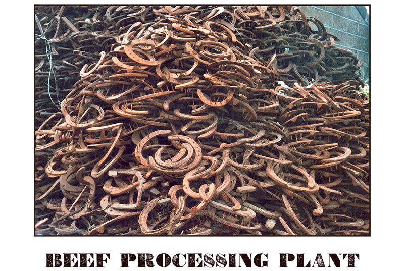 Photograph of a large pile of discarded horse shoes.  Caption reads: Beef Processing Plant