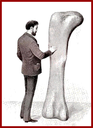 Animation of a man standing next to, and rubbing, a bone which is standing on end